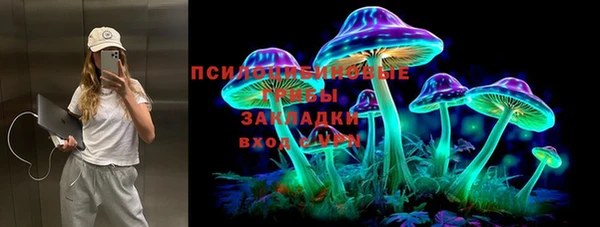 мяу мяу мука Армянск
