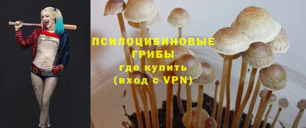 мяу мяу кристалл Арсеньев
