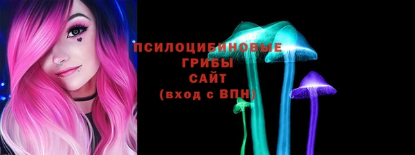 мяу мяу кристалл Арсеньев