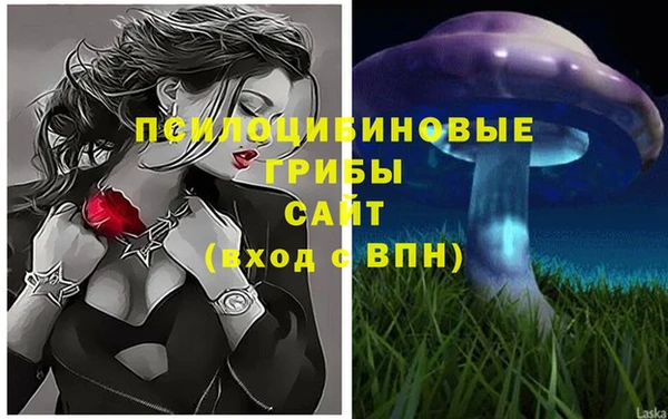 марки nbome Аркадак