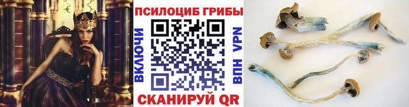 Псилоцибиновые грибы MAGIC MUSHROOMS  Мамоново 